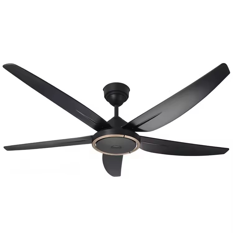 Product Importer Gallery 01 · aa7544f262