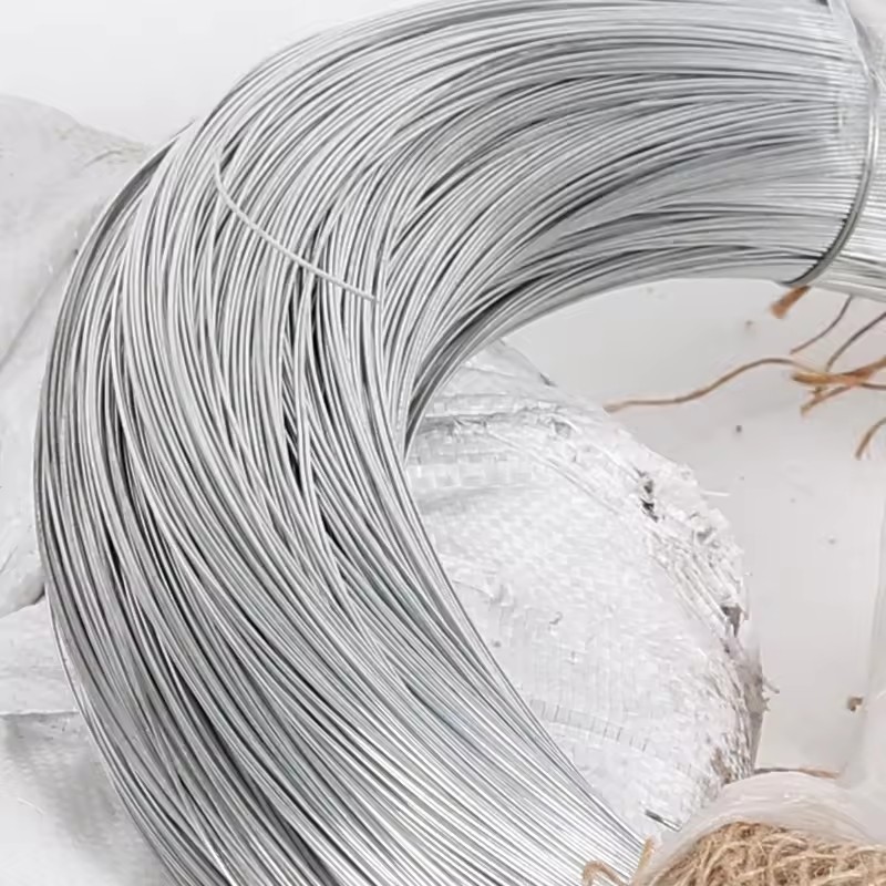 Product Importer Gallery 02 · 7a6b8c36a8