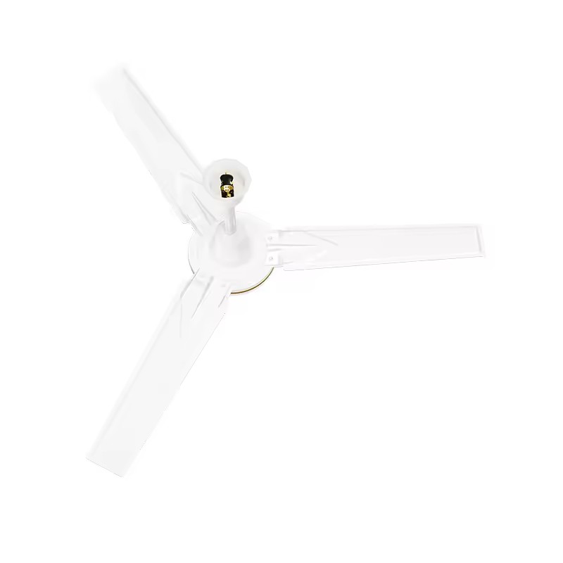 Product Importer Gallery 05 · 285f6b1ca6
