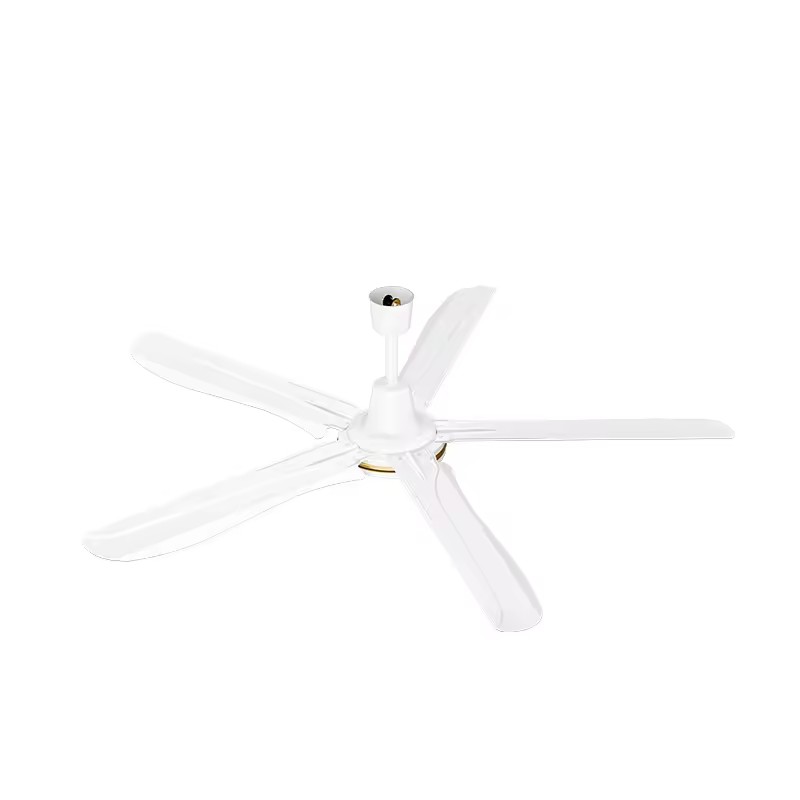 Product Importer Gallery 02 · a751be2d30