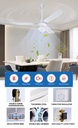 Product Importer Gallery 05 · bfc256e5f3
