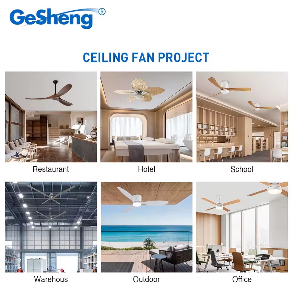 Product Importer Gallery 05 · 50bc190e55