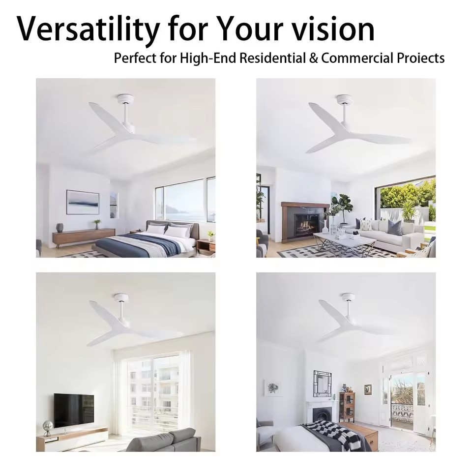 Product Importer Gallery 04 · cfcac6a6e7