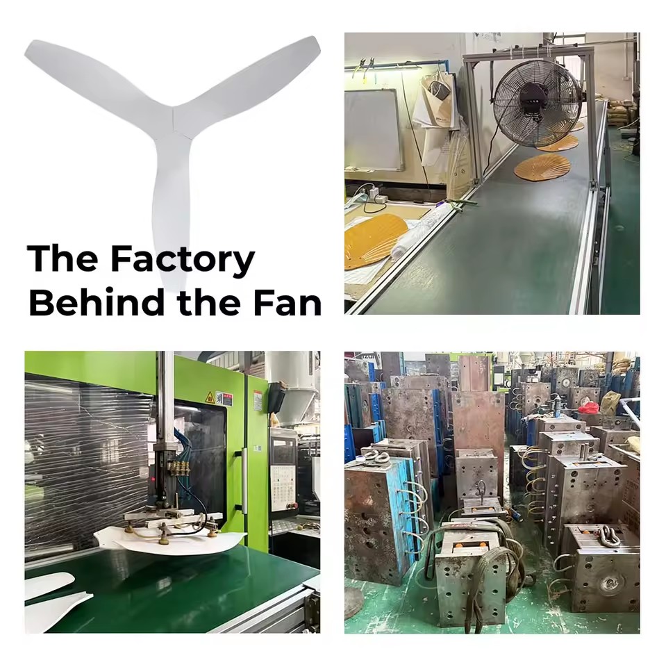 Product Importer Gallery 02 · 350fd689c1