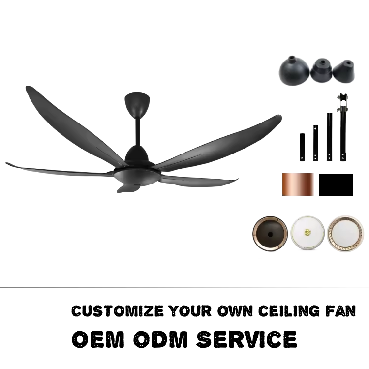 Product Importer Gallery 05 · dd9021a91c
