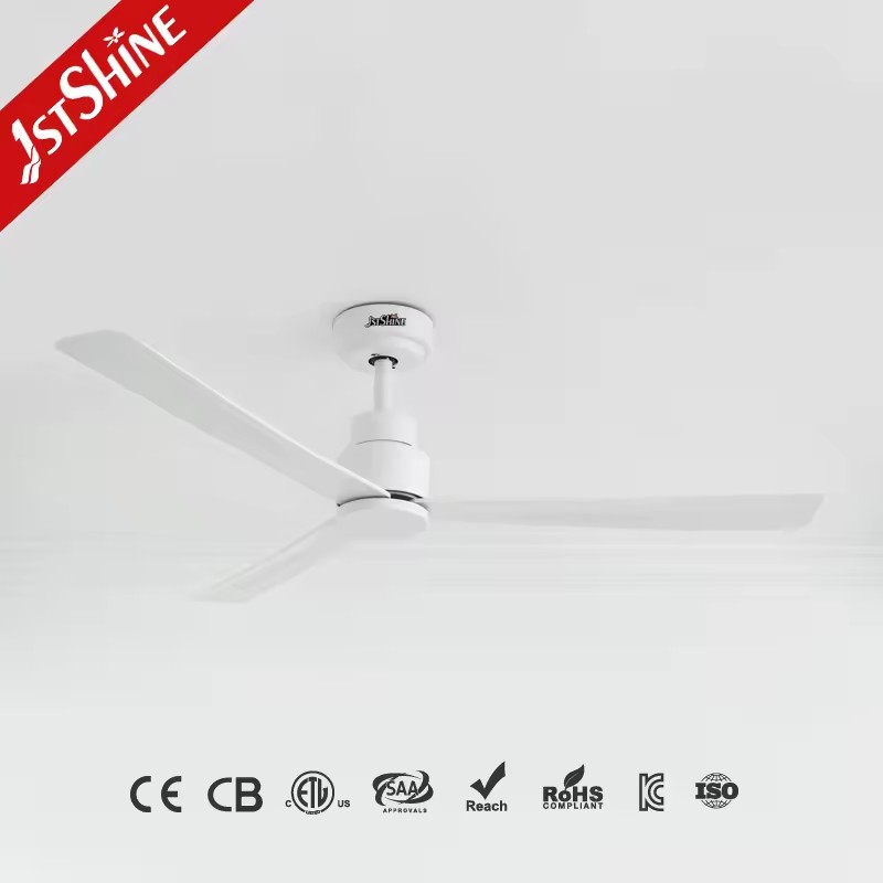 Product Importer Gallery 01 · eb81f55554