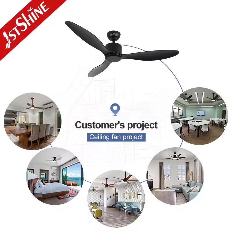 Product Importer Gallery 04 · 09ab1b5e28