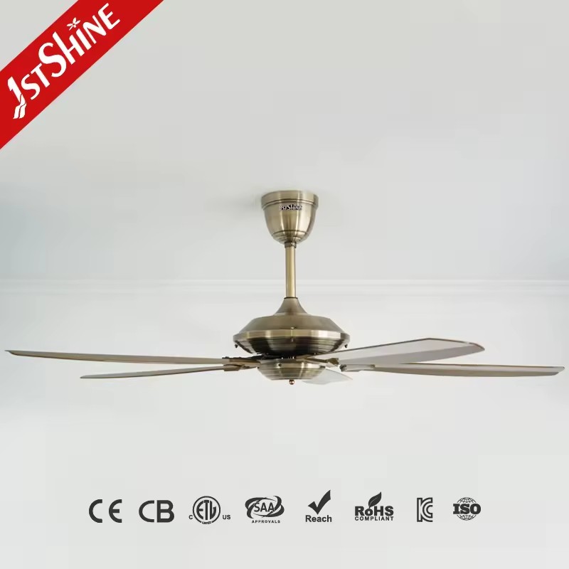 Product Importer Gallery 01 · 465e1ac3f8