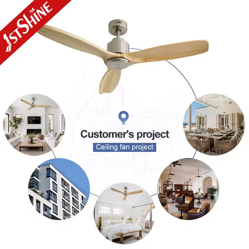 Product Importer Gallery 04 · 96190c7dbe