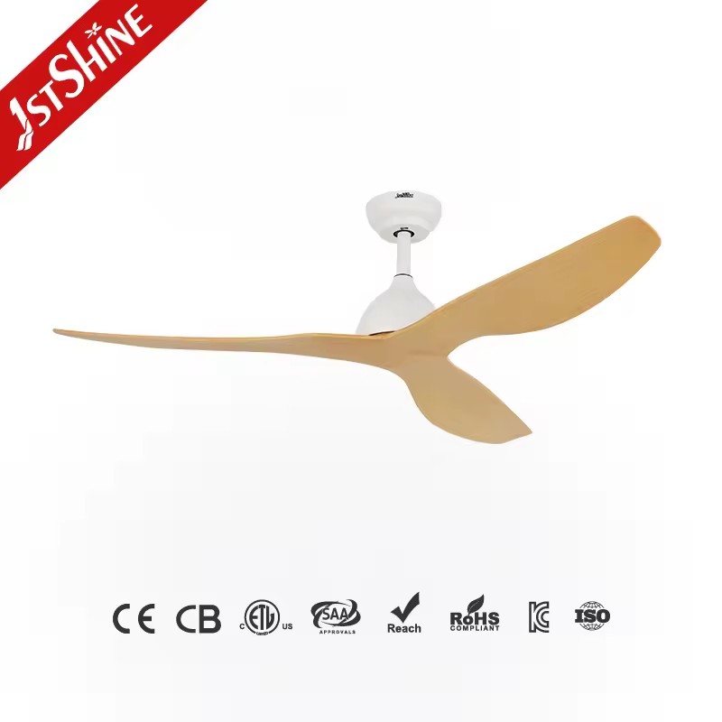 Product Importer Gallery 01 · 04e84e1437