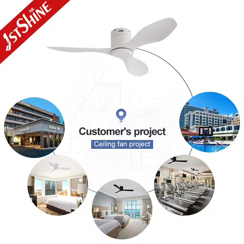 Product Importer Gallery 04 · 2f3de9b312