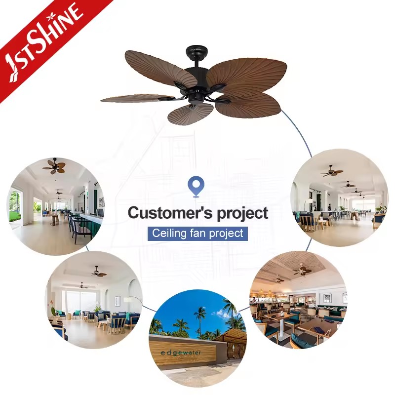Product Importer Gallery 04 · 07256511f3