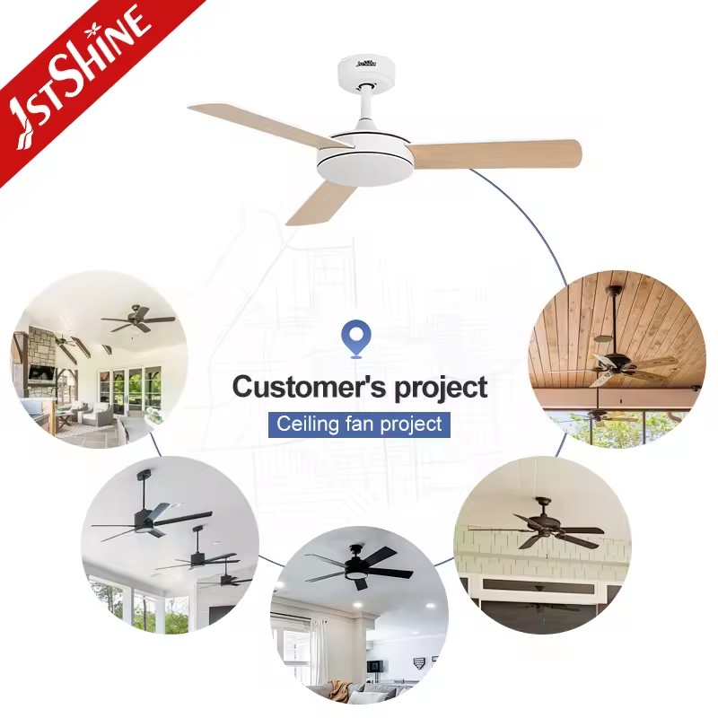 Product Importer Gallery 04 · 001019ac74