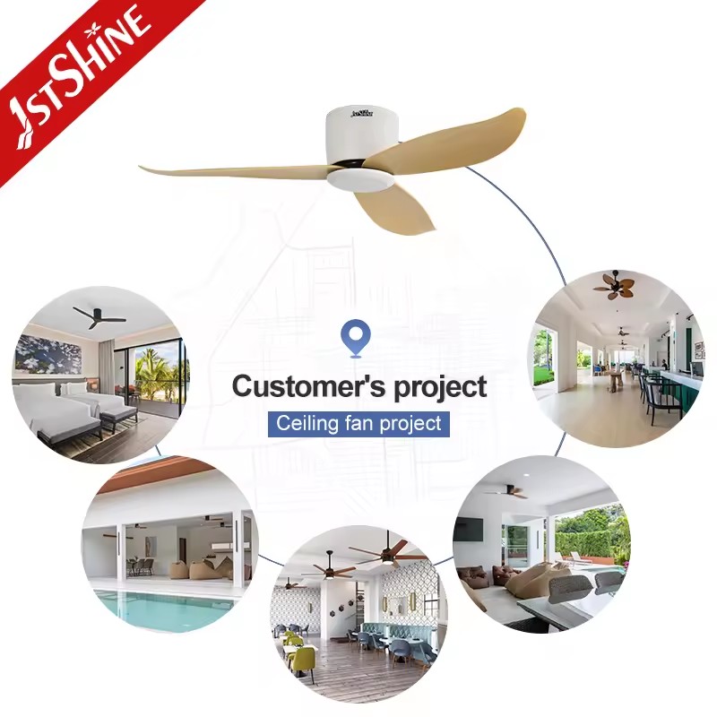 Product Importer Gallery 04 · d6b539fbd3