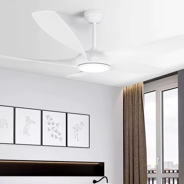 Product Importer Gallery 01 · c81b913507