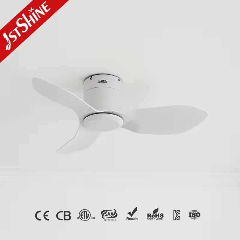 Product Importer Gallery 01 · f6e53d02fa