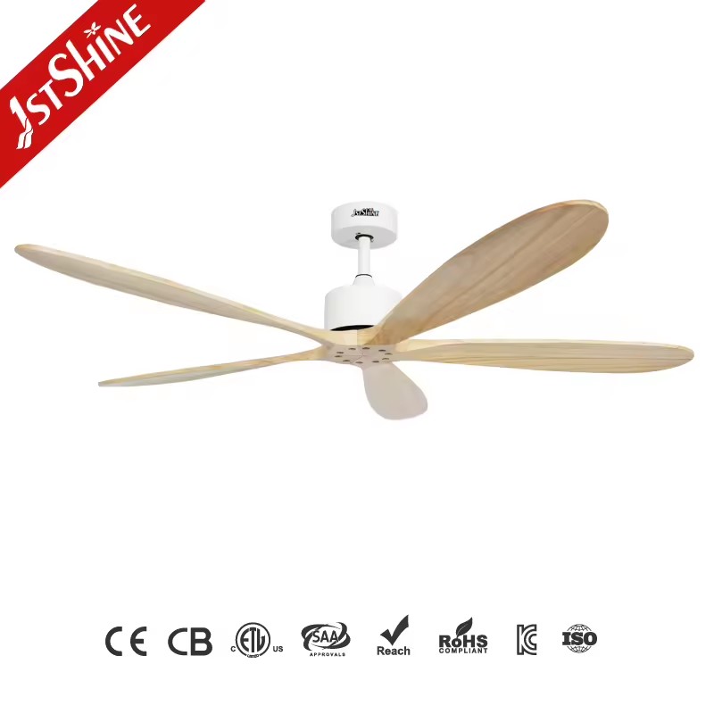 Product Importer Gallery 01 · 31aaae94d8