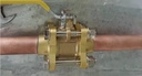 Product Importer Gallery 02 · cb329d3203