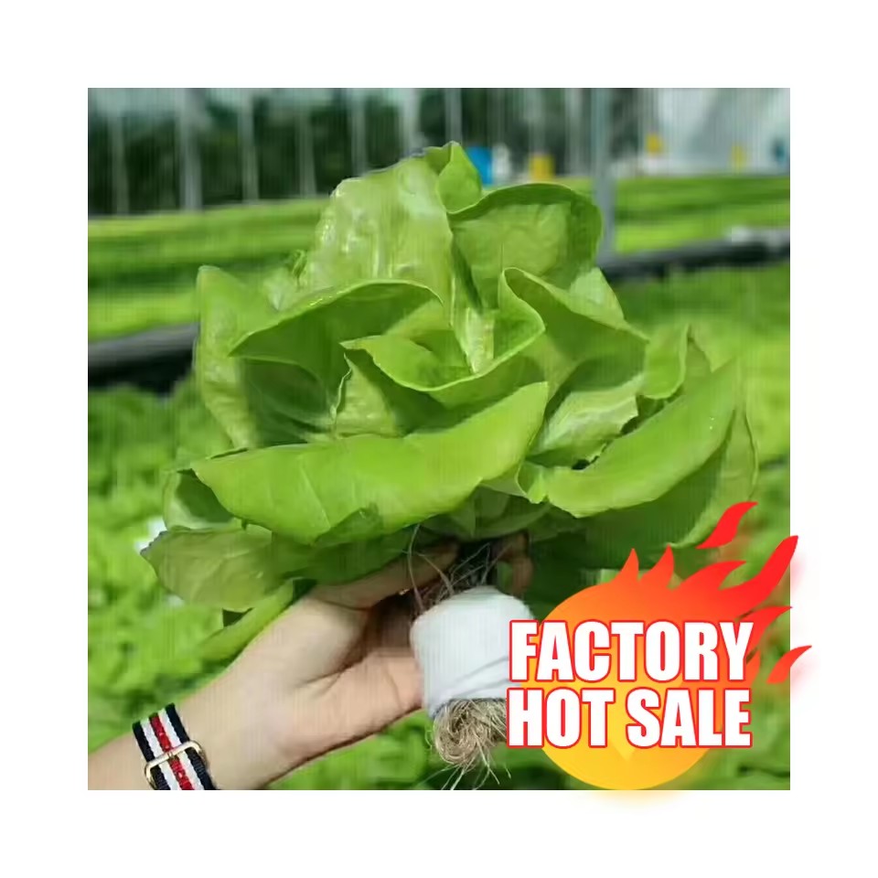 Product Importer Gallery 01 · 8eee43372e