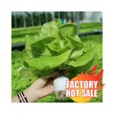 Product Importer Gallery 01 · 8eee43372e