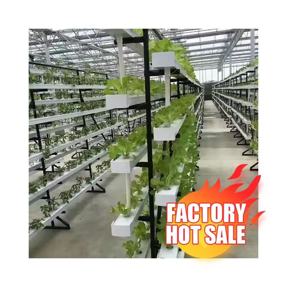 Product Importer Gallery 04 · 8b32758b1d