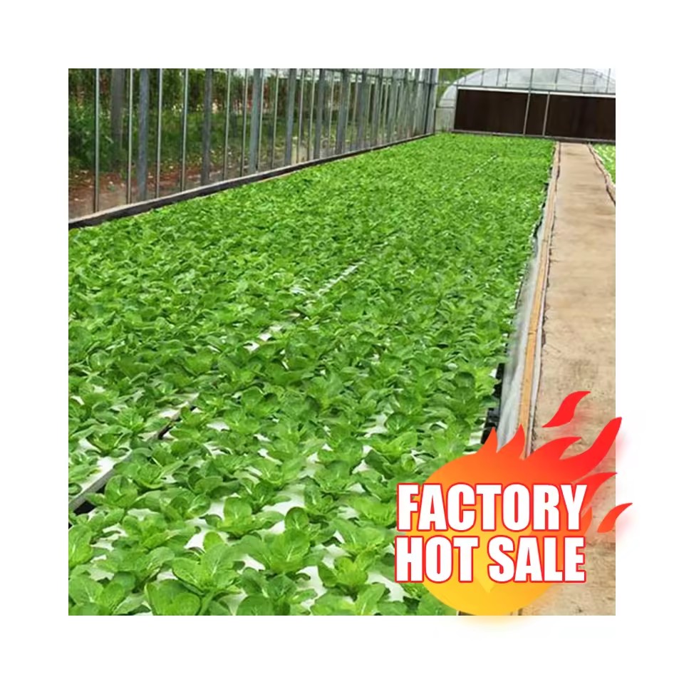 Product Importer Gallery 03 · 511d456b71