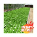 Product Importer Gallery 03 · 511d456b71