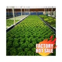 Product Importer Gallery 02 · 6b9c67d252