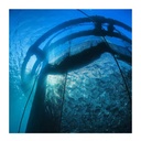 Product Importer Gallery 05 · 9605920766