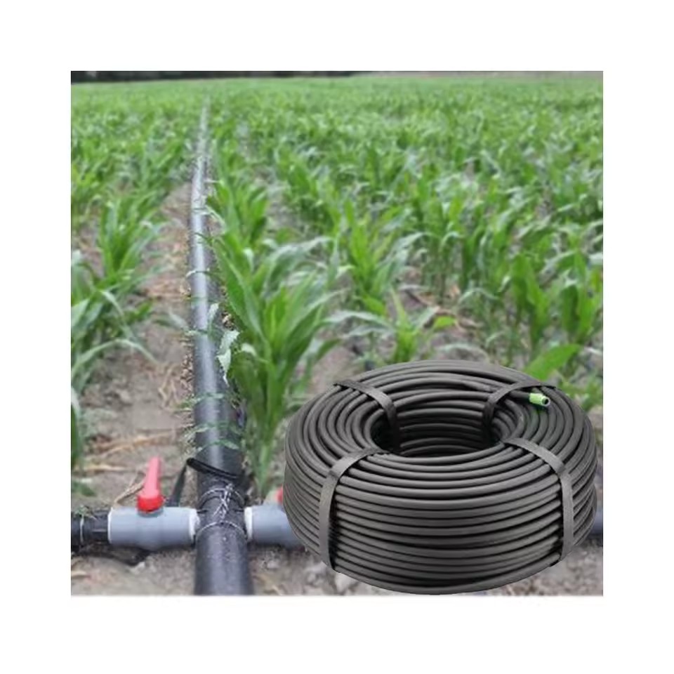 Product Importer Gallery 02 · 916b1afd0e