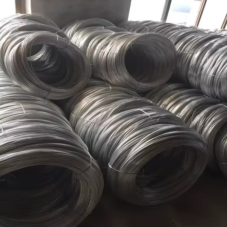Product Importer Gallery 05 · 698d3608e4