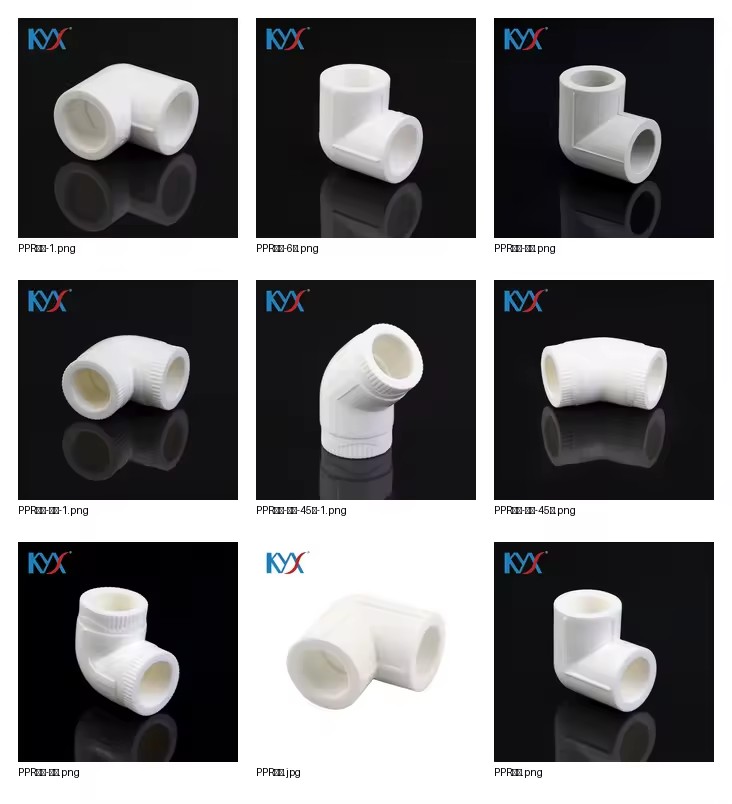 Product Importer Gallery 01 · 6bd81d4137
