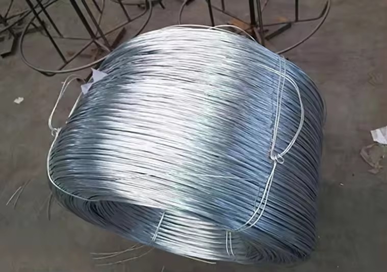 Product Importer Gallery 02 · b8ac054ae9
