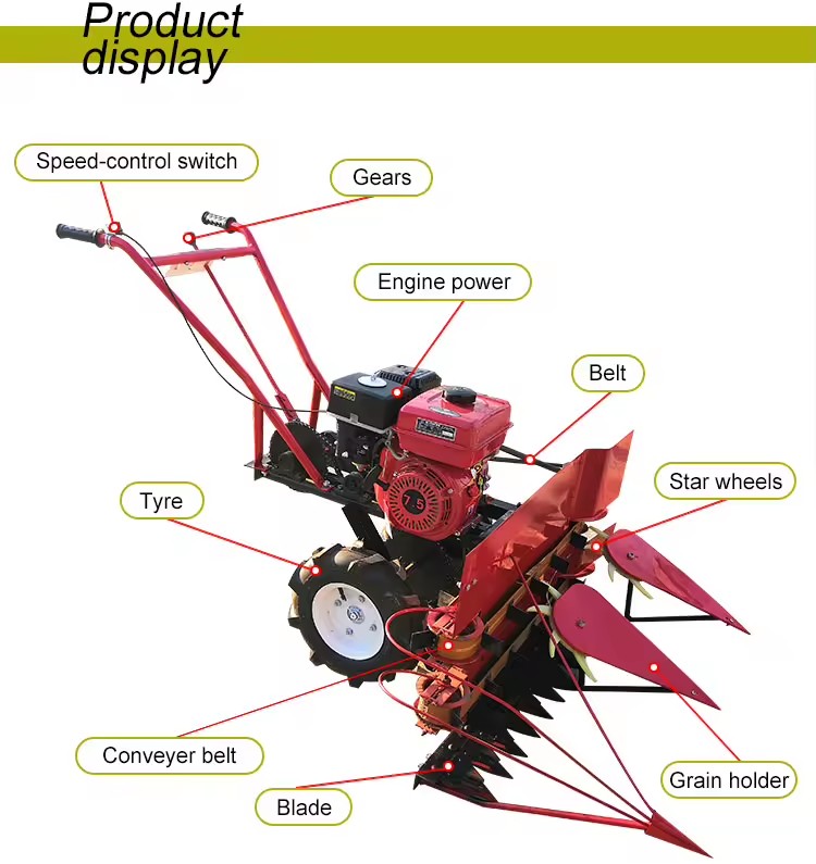 Product Importer Gallery 01 · d97e0b364f