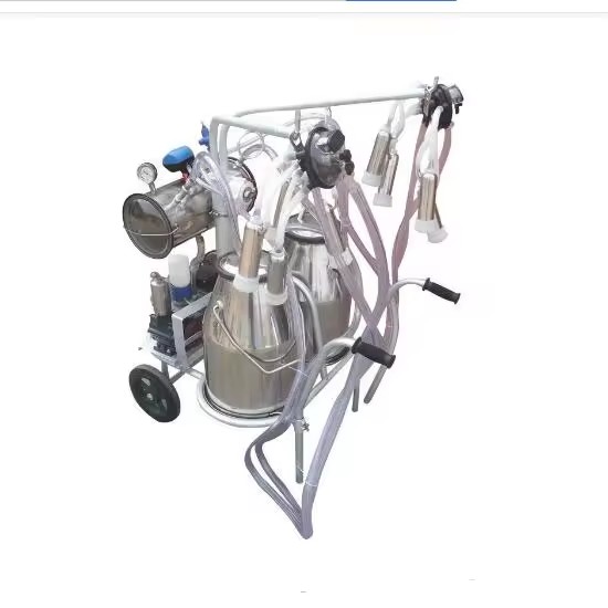 Product Importer Gallery 02 · 773daa811a