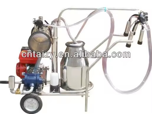 Product Importer Gallery 03 · c109c45b8e