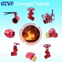 Product Importer Gallery 05 · bb66b155f6