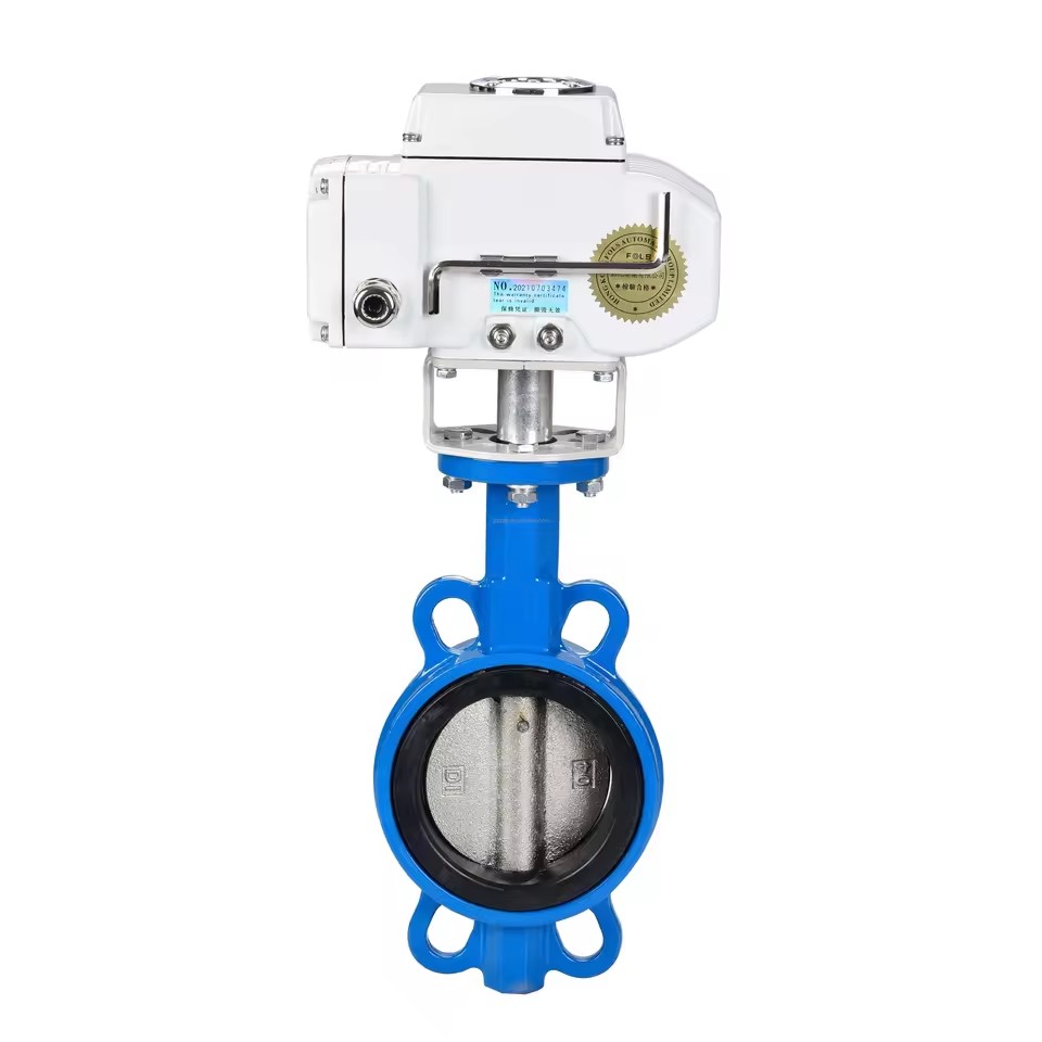 Product Importer Gallery 02 · d241ea98fc