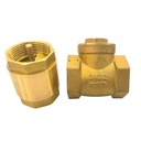One-Way Vertical Non-Return Check Valve Brass/Stainless Steel 201/304/316 Hydraulic ISO9001 Certified 1.6Mpa Pressure for Water