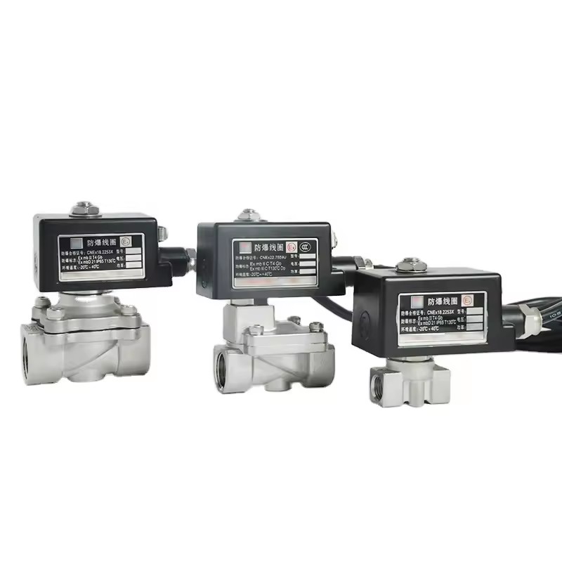 Explosion-proof Solenoid Valve CT4 Natural Gas diesel Control Switch off Valve 220V 24V Normally Closed