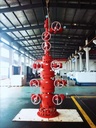 Whole Sale API6A Oil/Gas and Christmas Tree for Oil Drilling From