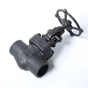 A105N Forged Steel Sleeve Welded Thread NpT J61H Manual Shut-off Valve