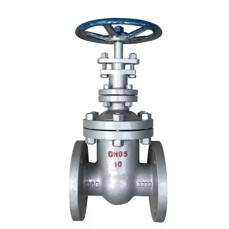 DN50/150/300/450 Factory Custom Forged Steel A105 Stainless Steel 304/316 CF8 WCB Cast Steel Gate Valve