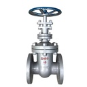 DN50/150/300/450 Factory Custom Forged Steel A105 Stainless Steel 304/316 CF8 WCB Cast Steel Gate Valve