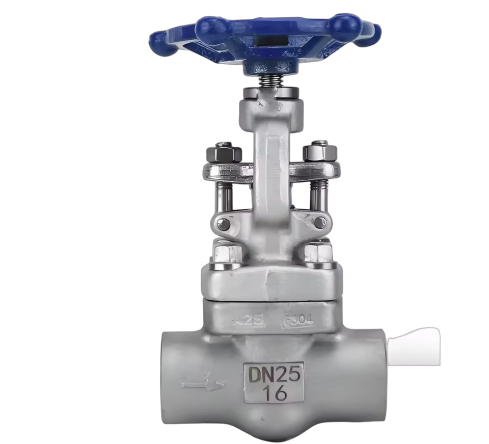 Forged Steel Material, Sleeve Welding, Threaded Joint NPT 800LB, J61F High-temperature Oil and Gas Shut-off Valve F304