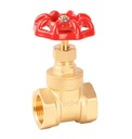 B&H Professional Valve Manufacture 1/2 Inch PN16 Water Brass Gate Valve with Iron Handwheel