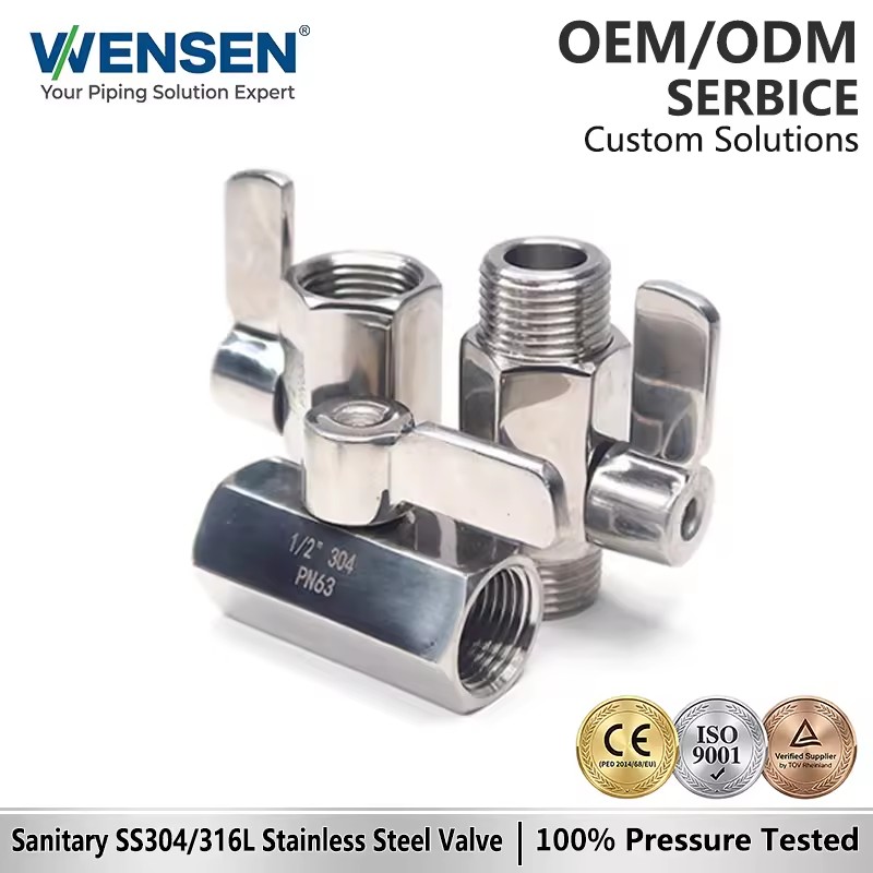 Wensen 304 Stainless Steel Mini Ball Valve with Internal and External Threads 1 Inch Miniature Valve