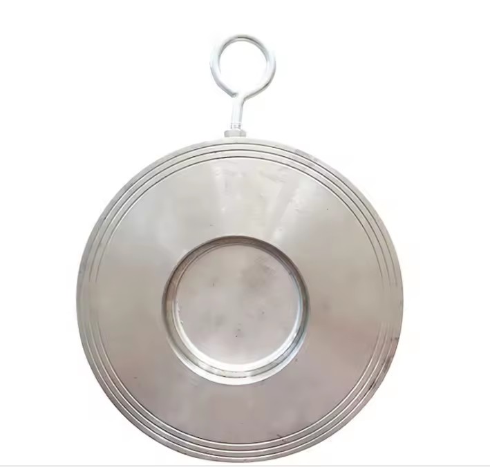 Manufactory Cheap One Way Single Disc Check Valve With FKM Seal 2 Inch for Many Usage DIN/BS/ASME Standard