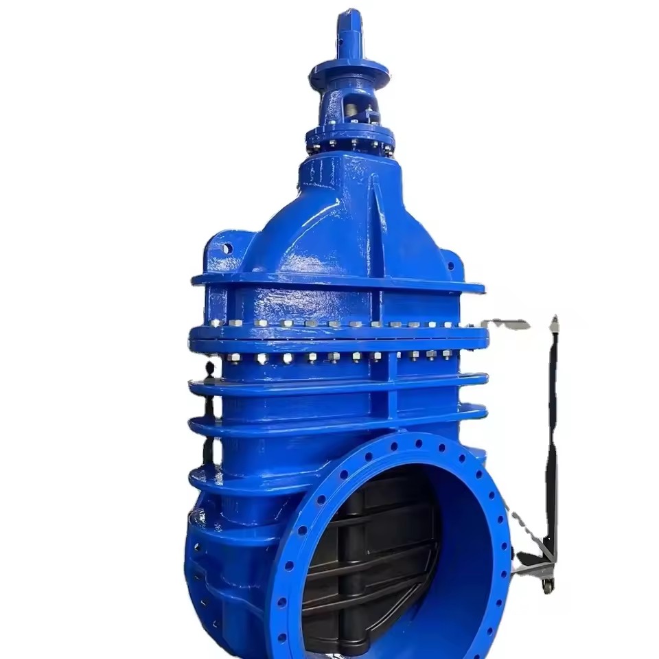 PN10 PN16 Large Manual Resilient Seated Ductile Iron GGG50 Bevel Spur Gear Gate Valve DN600 DN700