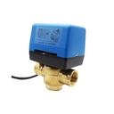 0-10V Modulating 2 Way Brass Water Valve Proportional Electric Actuator Motorized Valve with 24Vac